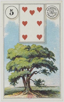 Lenormand-Karte 5 Baum, historisches Dondorf-Deck