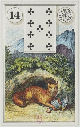 Lenormand-Karte 14 Fuchs, historisches Dondorf-Deck