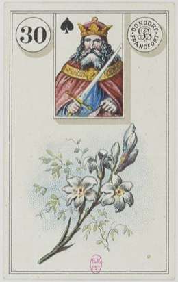 Lenormand-Karte 30 Lilien, historisches Dondorf-Deck